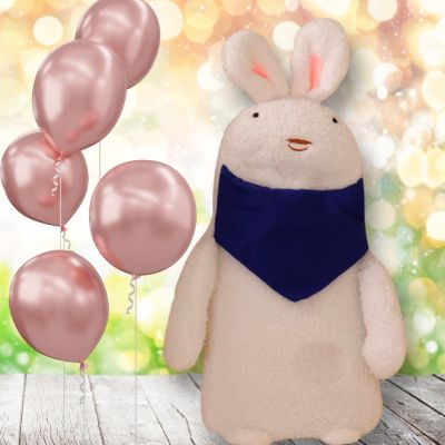 Bouillotte peluche lapin kawaii aide le sommeil pour famille