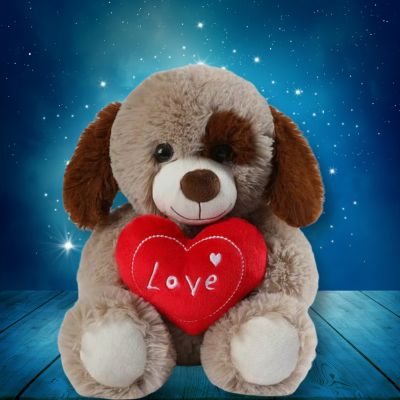 Ours en peluche le merveilleux Teddy bear le nounours amoureux