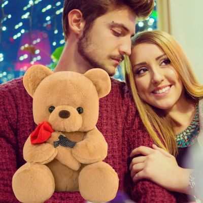 Ours en peluche teddy bear le cadeau de saint valentin pour couple