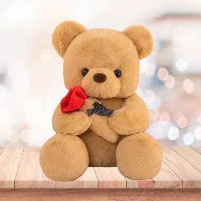 Ours en peluche le teddy bear tout doux