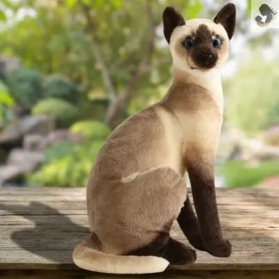 Peluche chat réaliste peluche chat aux pattes et nez noires et yeux bleus