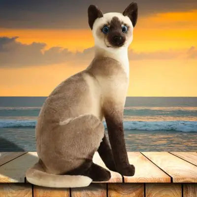 Peluche chat réaliste-peluche chat siamois assis à la douce plage
