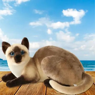 Peluche chat réaliste tranquille assis à la plage calmement douce peluche chat